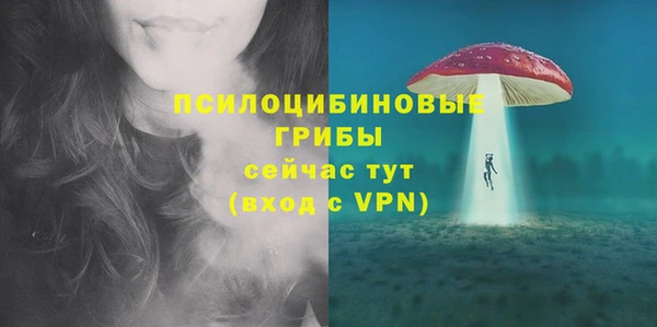 стафф Алзамай