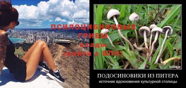 МДПВ Алексеевка